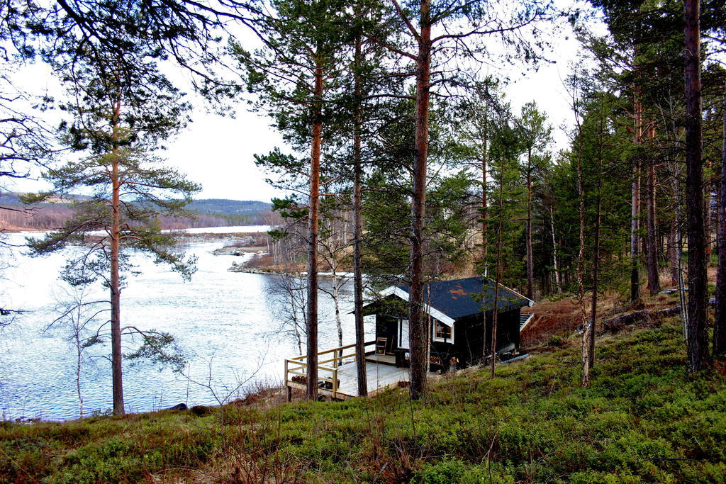 Birk Bed & Birds Bed & Breakfast Svanvik Exterior photo