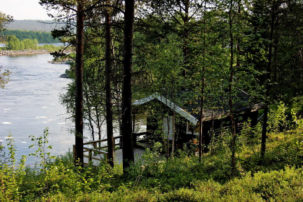 Birk Bed & Birds Bed & Breakfast Svanvik Exterior photo