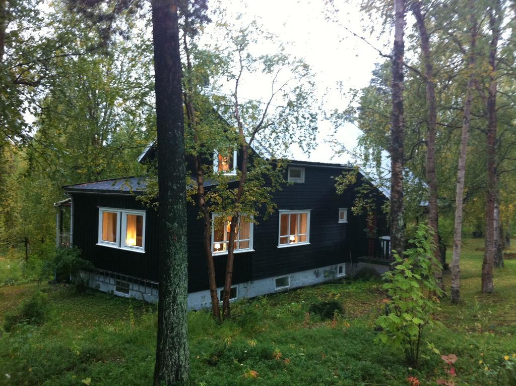Birk Bed & Birds Bed & Breakfast Svanvik Room photo
